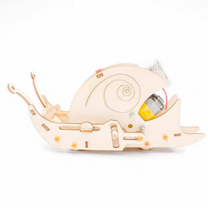 Snail-Model.jpg Snail-Model.jpg